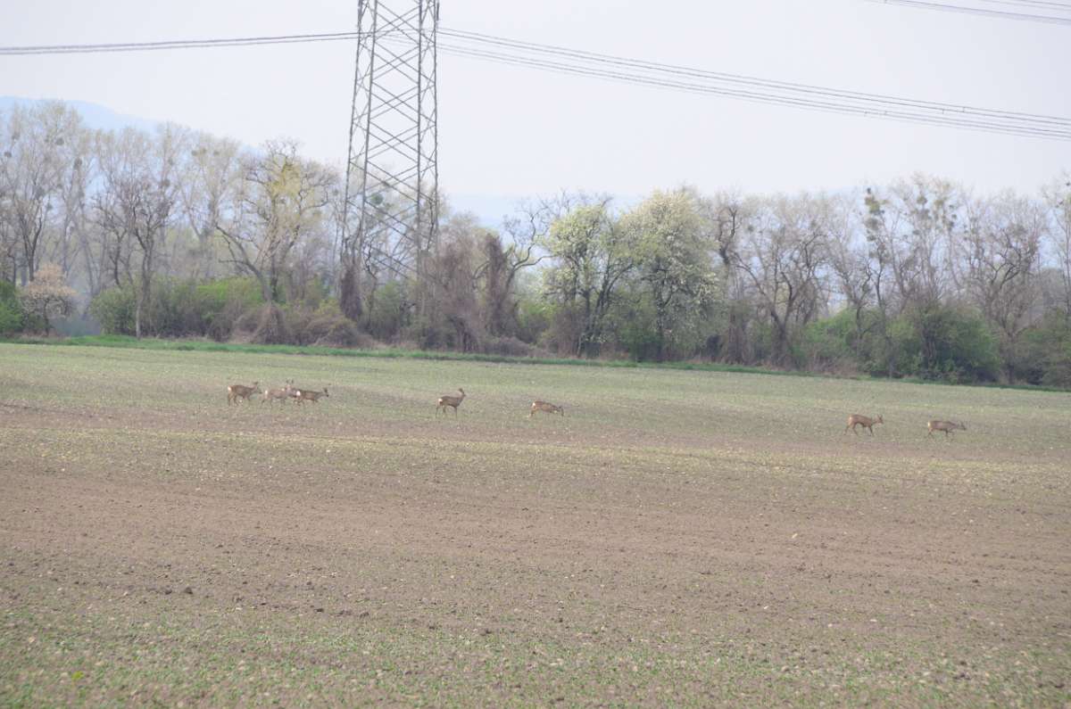 2014-03-31 14-48-33.JPG